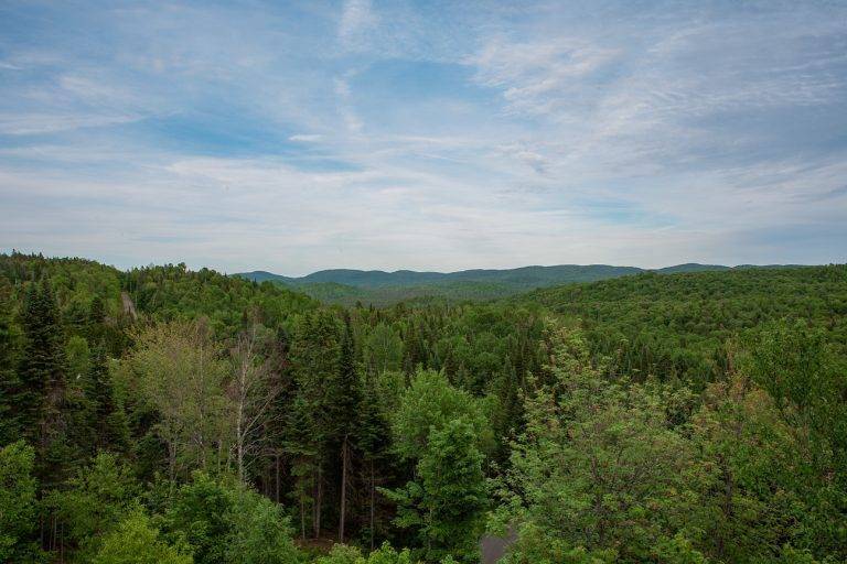 exit-chalets-location-chalet-maison-a-louer-laurentides-lanaudiere_140615-768×512